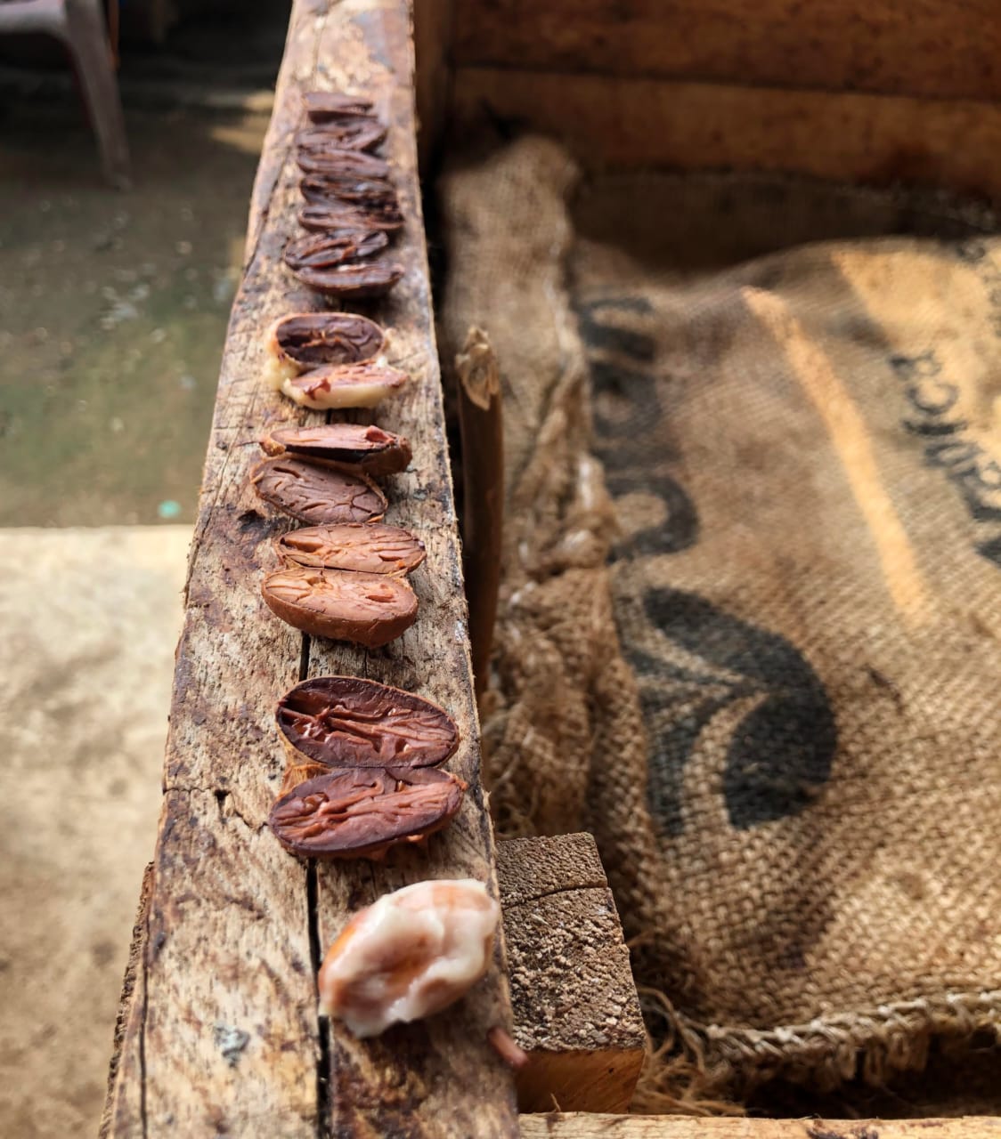 Zeremonieller Kakao aus Chiapas